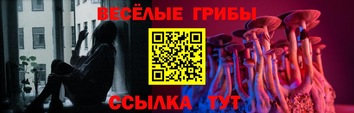 Подольск  Галлюциногенные грибы мицелий  Вход с VPN  Галлюциногенные грибы мухоморы 