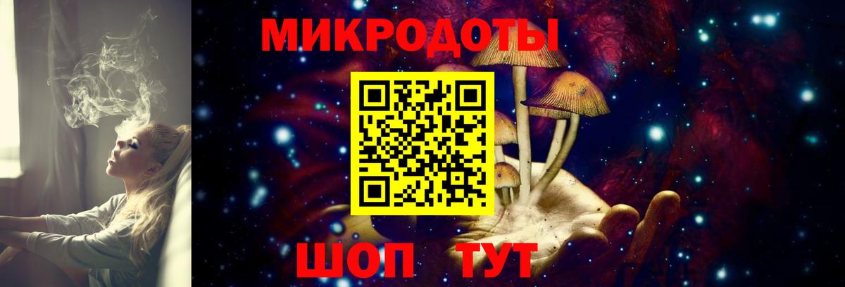 Псилоцибиновые грибы Psilocybine cubensis Подольск